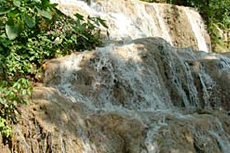 Ocho Rios Cobaya Gardens cruise excursion